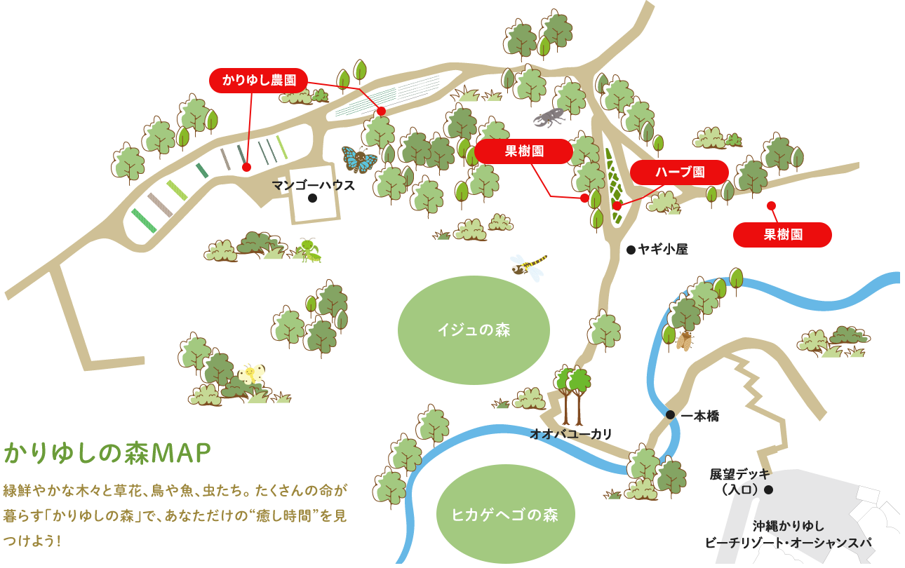 かりゆし福寿ファームはどこにあるの?